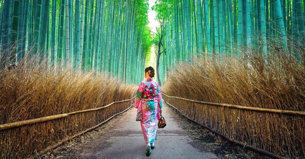 Arashiyama Bamboo Forest Kyoto Guide 13